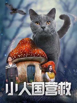 久久人人97超碰精品888