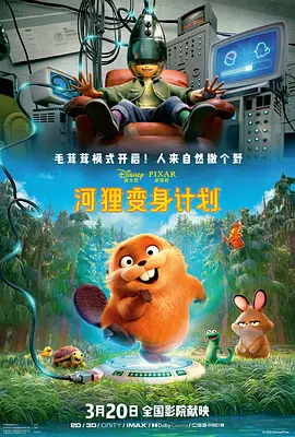 msn中国官网