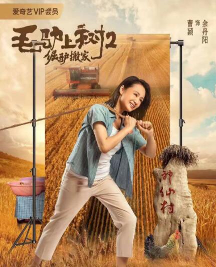 一级特黄在线观看