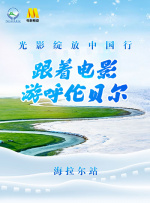 91麻精品国产91久久久久