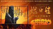我的白秘书