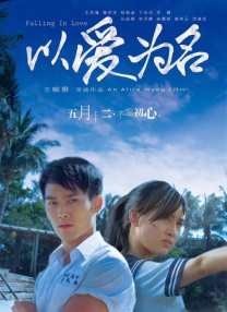 久久午夜激情
