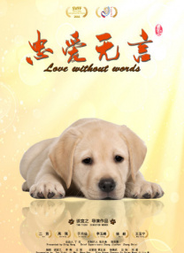 事物的秘密在线观看