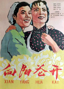 国产一区二区无遮挡