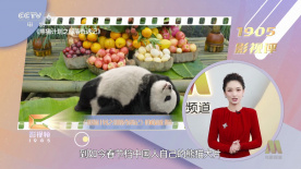 国产极品福利